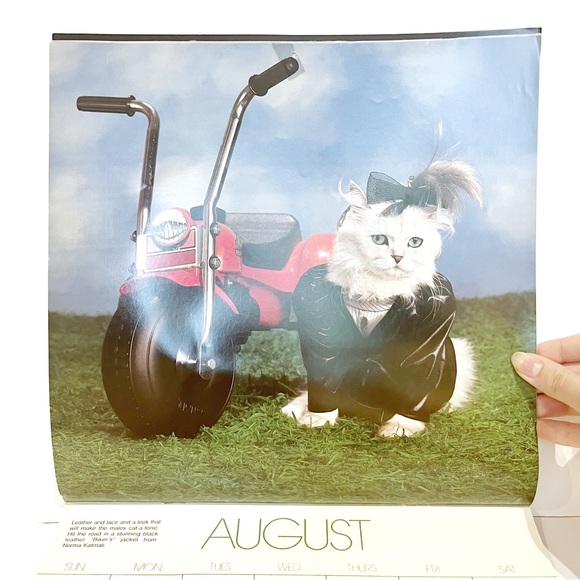 Vintage 1989 Calendar Pictures of Cats Dressed Up in Clothes Kitty Cute Kitten - Picture 10 of 16